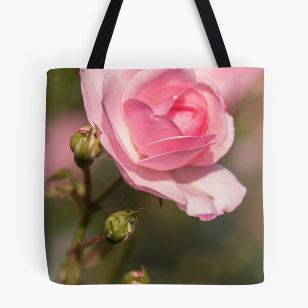 Item preview, Nueva Rose Leith Park Victoria 20171110 1719 designed and sold by Fred Mitchell.