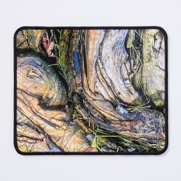 Item preview, Tree root photo  designed and sold by Susan Gallup.