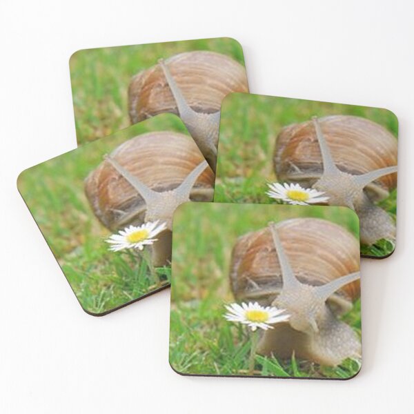 Item preview, A snail on a green meadow: A journey to a daisy designed and sold by FotoworldEdel.