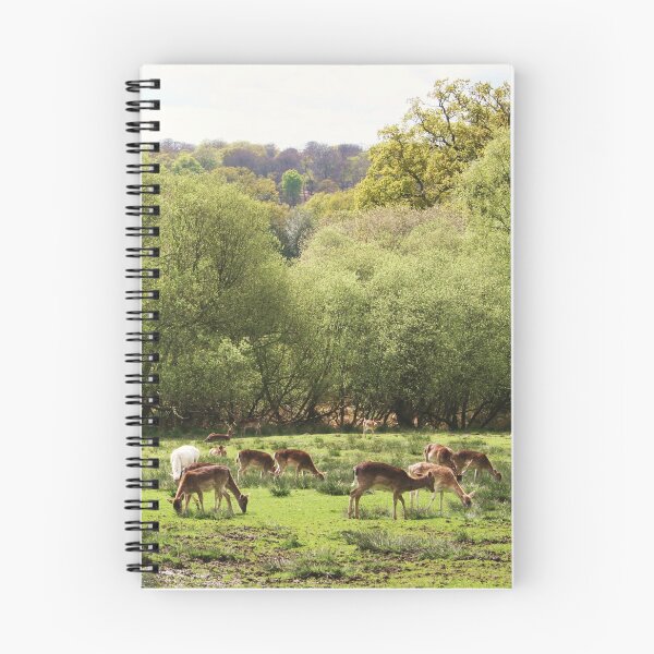 Item preview, Deer at Bolderwood designed and sold by RedHillDigital.