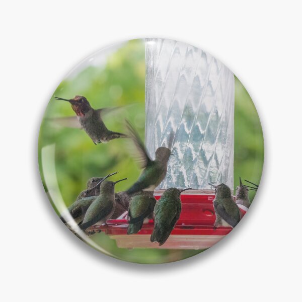 Item preview, Hummingbirds Fattening Up for Migration designed and sold by CarolM.