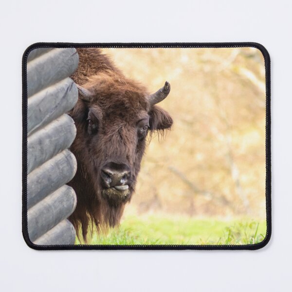 Item preview, Handsome bison bull or wisent bull sticks out his tongue designed and sold by Your Happy Life.