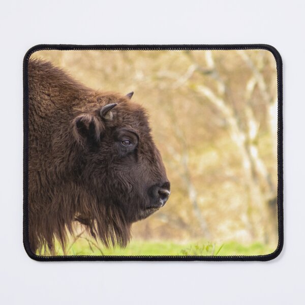 Item preview, Head of a handsome bison bull or bison bull in profile designed and sold by Your Happy Life.