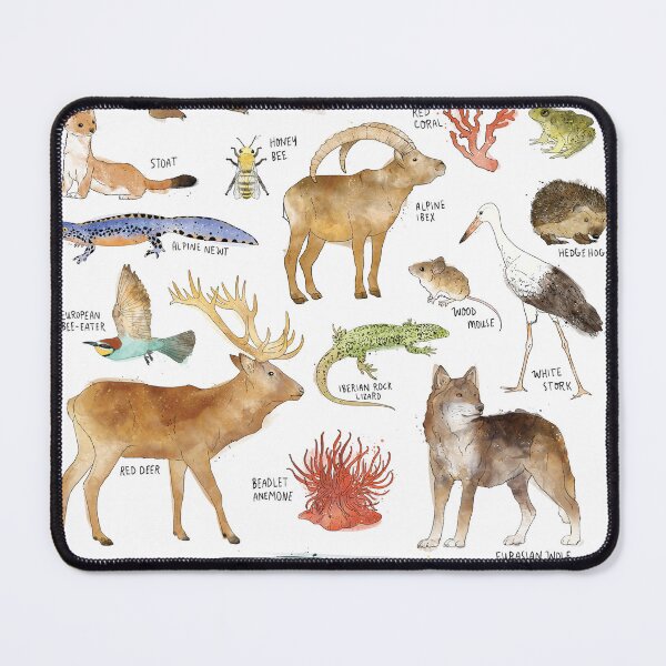 Item preview, Wildlife of Europe designed and sold by Amy Hamilton.