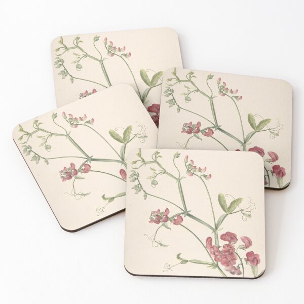 Item preview, Perennial Pea by Jan Jansz. van der Vinne designed and sold by sentimentalica.