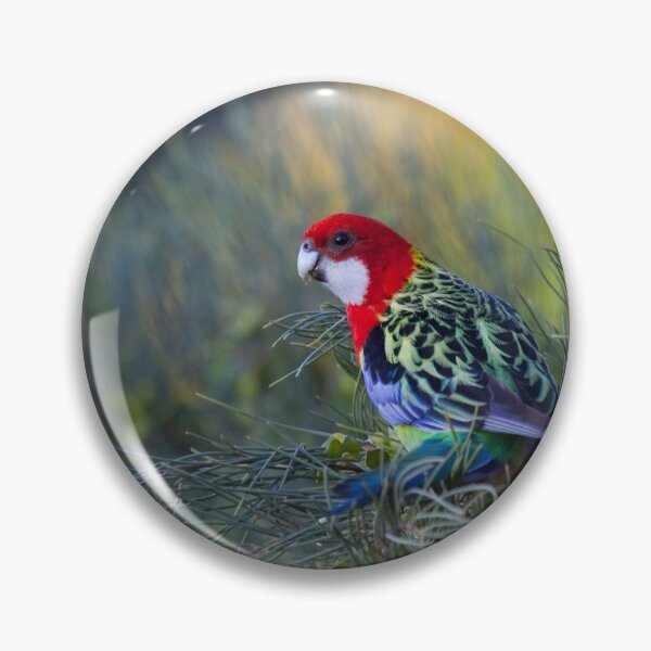 Item preview, Eastern Rosella designed and sold by margotk.