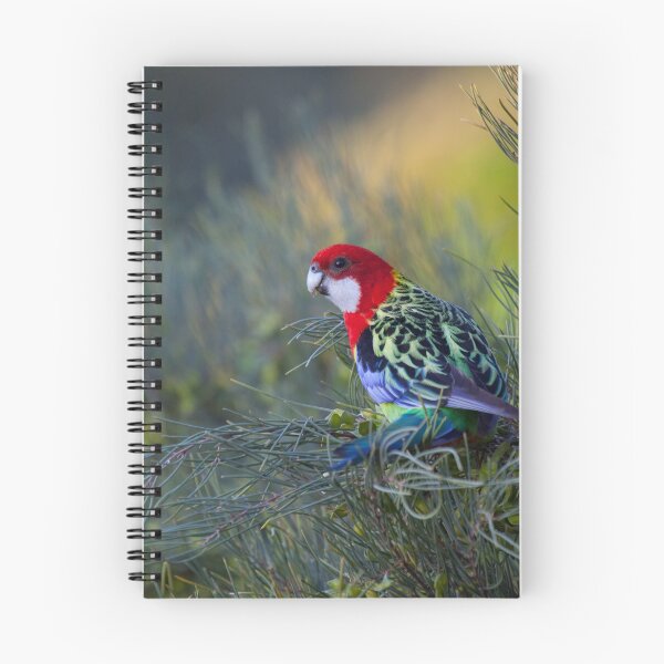 Item preview, Eastern Rosella designed and sold by margotk.