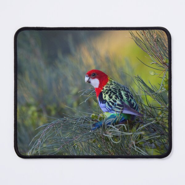 Item preview, Eastern Rosella designed and sold by margotk.