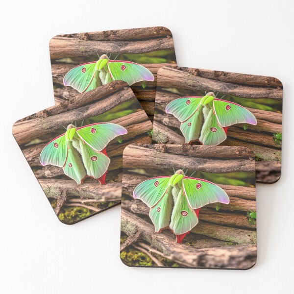 Item preview, Luna Moth - Red Eye designed and sold by Glenburn Graphics.