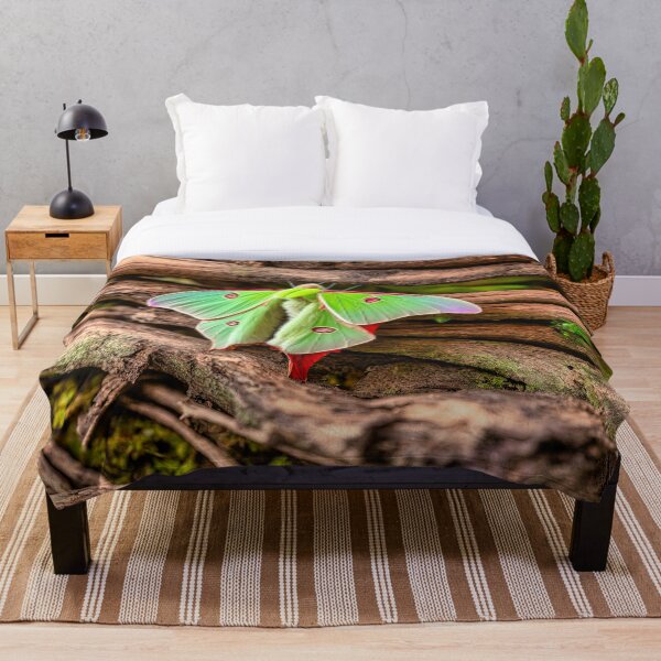 Artikelvorschau, Luna Moth - Red Eye entworfen und verkauft von Glenburn Graphics.