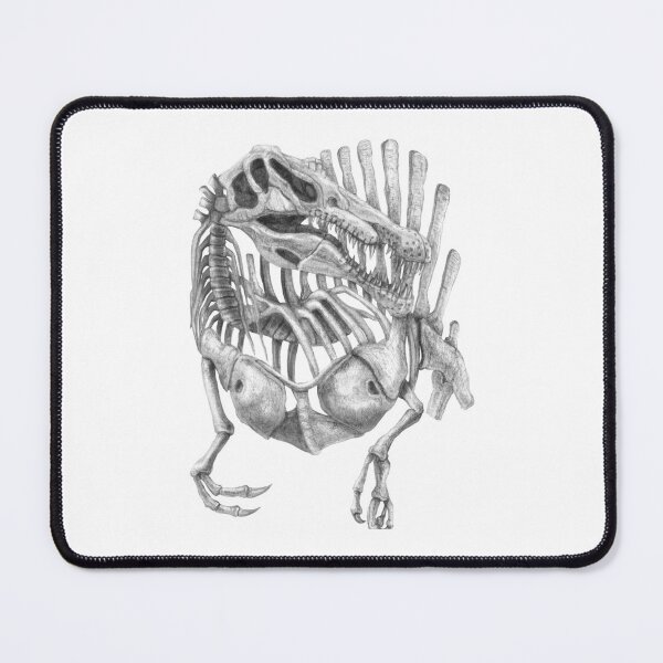 Item preview, Spinosaurus Skeleton designed and sold by TimeSkiff.