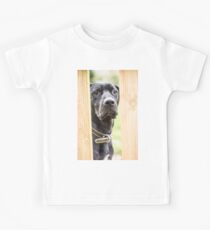 Black labrador Kids Tee