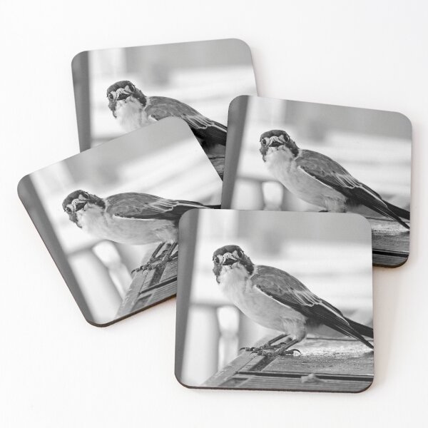 Item preview, © Grey Butcherbird designed and sold by GeoPipics.