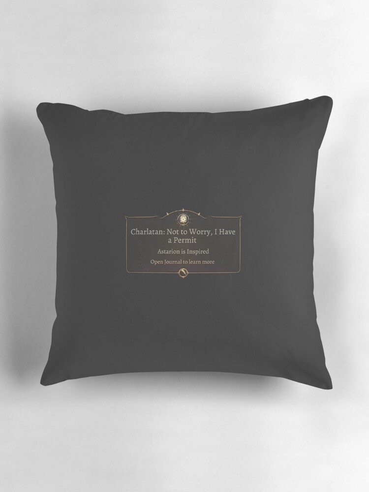 I have a permit Bg3 inspirasion &quot; Pillow for Sale by Sleep 