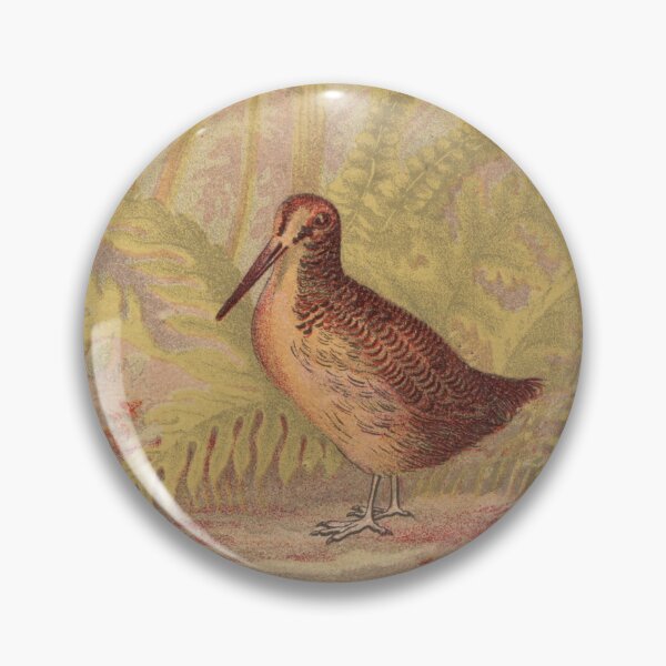 Item preview, Vintage bird haverhill massachusetts postcard  designed and sold by Caroline Amanda.