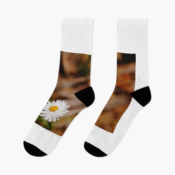 Item preview, Trio of Flowers  designed and sold by D-GaP.