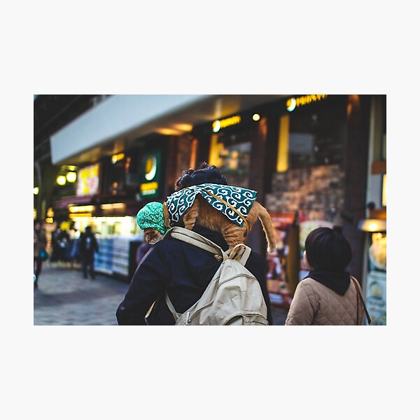 Tokyo Lens - Tokyo Cat Burglar Photographic Print