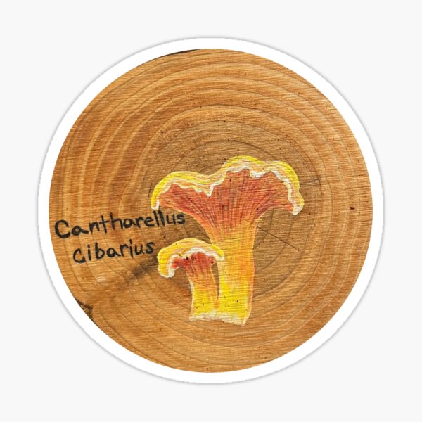 Item preview, Chanterelle designed and sold by aratolar.