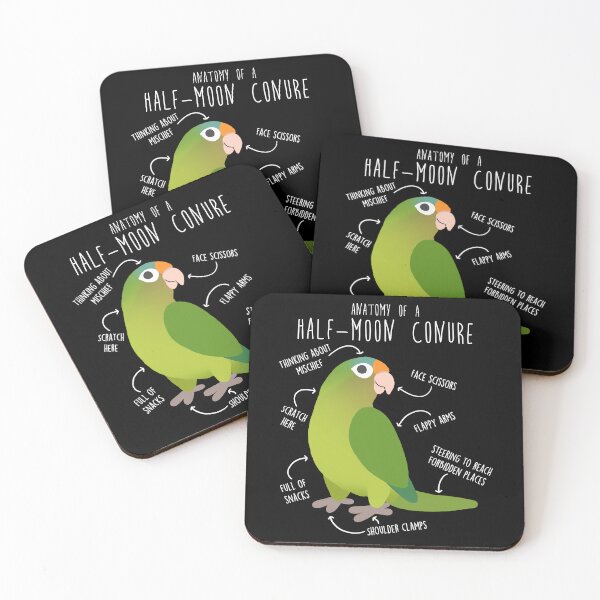 Item preview, Half-Moon Conure Parrot Anatomy designed and sold by Clara Hollins.