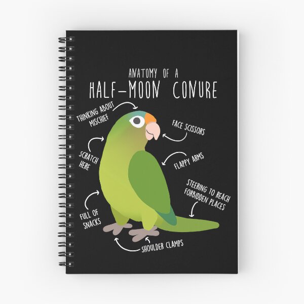 Item preview, Half-Moon Conure Parrot Anatomy designed and sold by Clara Hollins.