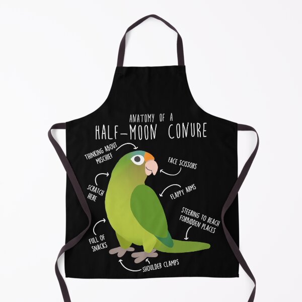 Item preview, Half-Moon Conure Parrot Anatomy designed and sold by Clara Hollins.