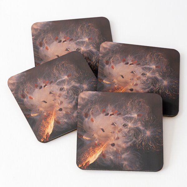 Item preview, Silky Milk Pod in the golden light designed and sold by Travelways.