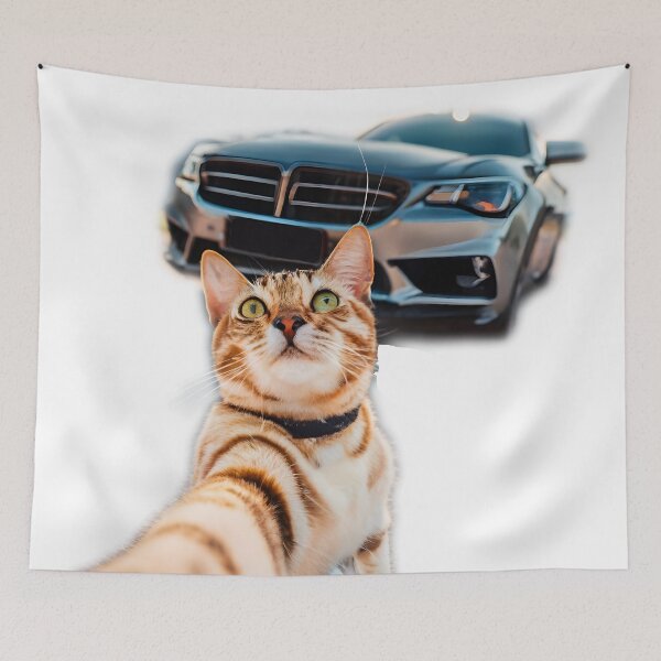 Item preview, Shelfy cat and luxury car designed and sold by ratchawoot.