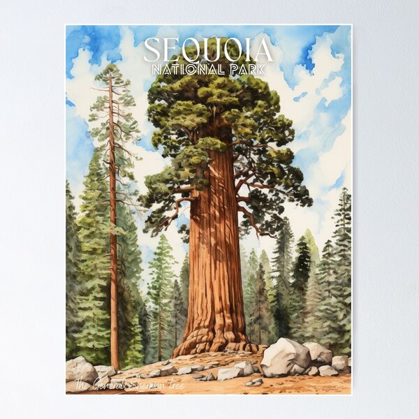 Item preview, Sequoia National Park, The General Sherman tree designed and sold by digitalcupids.