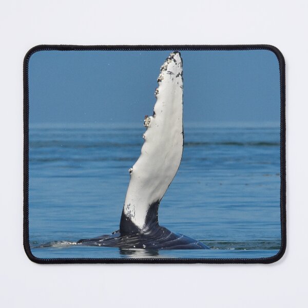 Item preview, Humpback Whale High Five designed and sold by Monika-J-Wright.