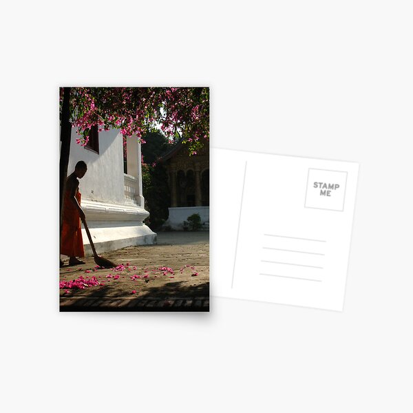 A Monk Sweeps Bougainvillea Leaves in Luang Prabang, Laos Postcard