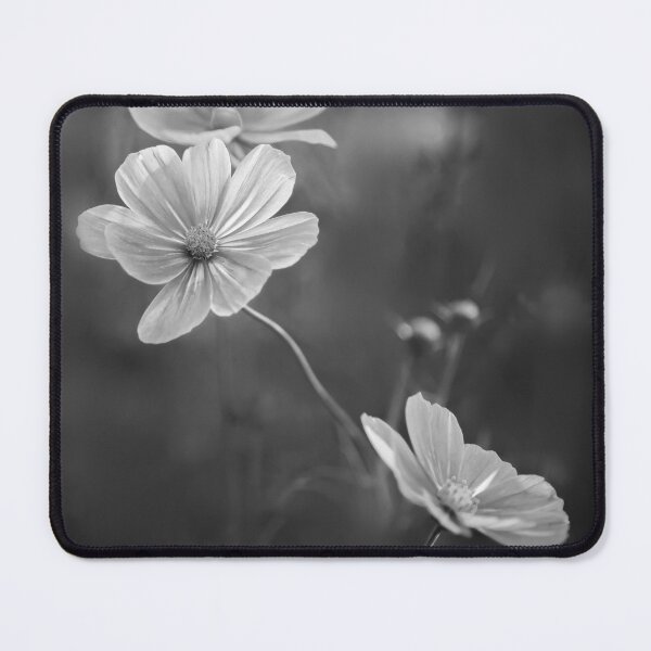 Item preview, Cosmos bipinnatus designed and sold by Beabue.