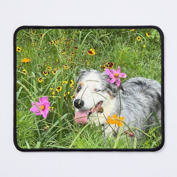 Item preview, ekko smells the flowers designed and sold by Akerman16.