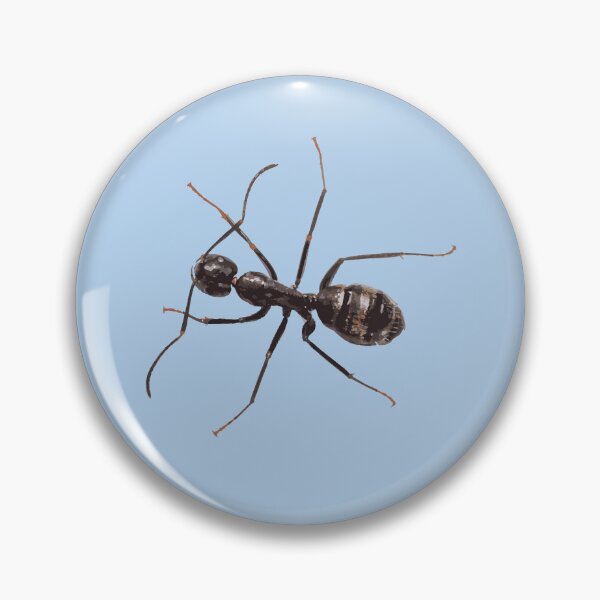Item preview, Carpenter Ant Illustration designed and sold by Corner-Distro.