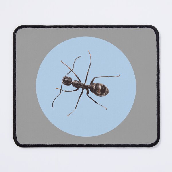 Item preview, Carpenter Ant Illustration designed and sold by Corner-Distro.