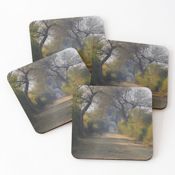 Item preview, Where the Road Takes Me: Wilderness designed and sold by ShubhankarK.
