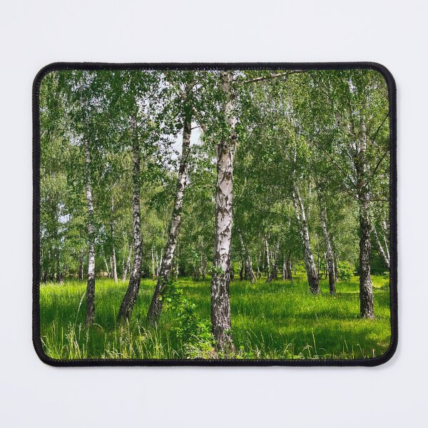 Item preview, Birch Trees designed and sold by StankaSoprano.