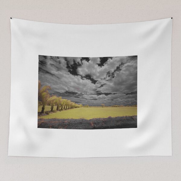 Item preview, Siamese Dreams designed and sold by Philip Britton.