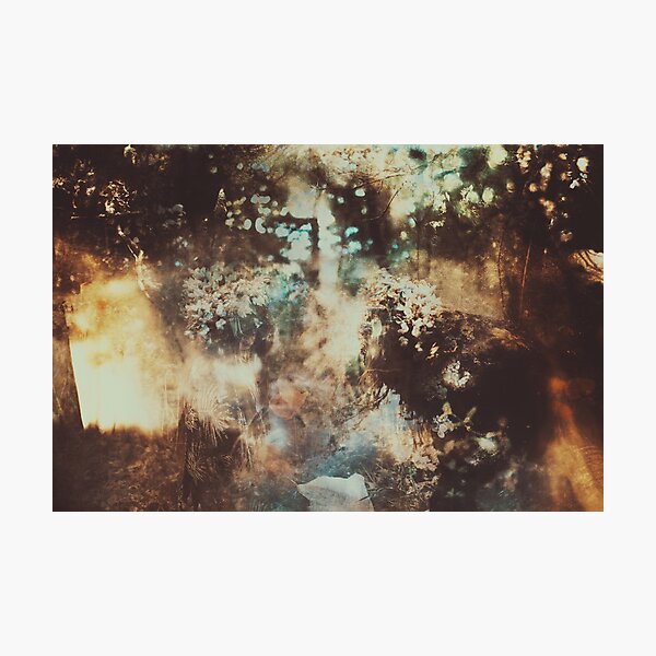 Bois Perdus Photographic Print