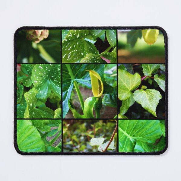 Item preview, Colorful Photo Patterns 05 designed and sold by Lee's Place.