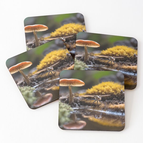 Artikelvorschau, Dragonfly Reflections entworfen und verkauft von Glenburn Graphics.