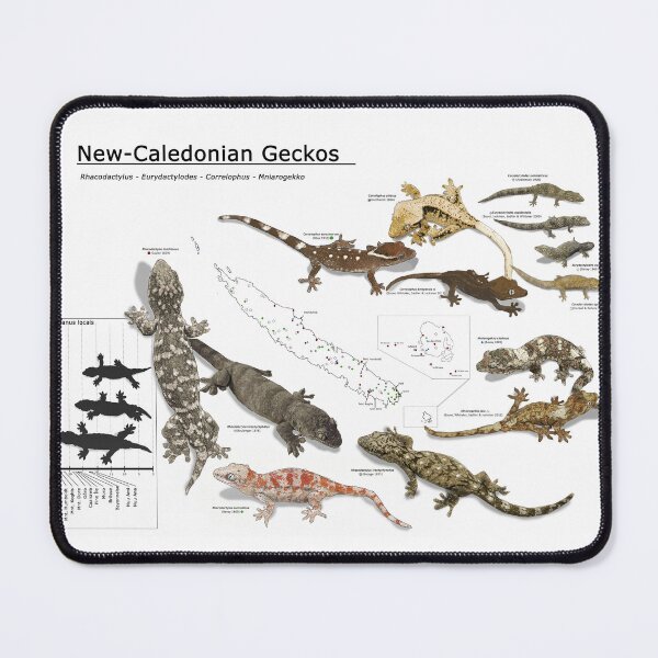 Item preview, NC geckos designed and sold by TsyenD-art.