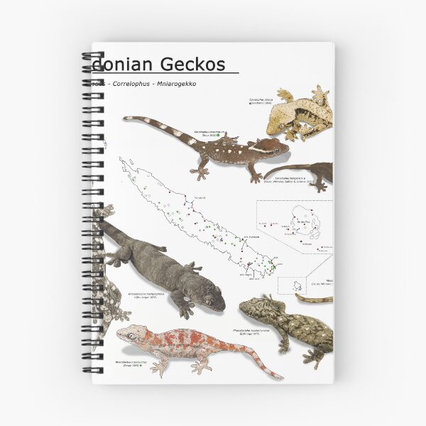 Artikelvorschau, NC-Geckos entworfen und verkauft von TsyenD-art.