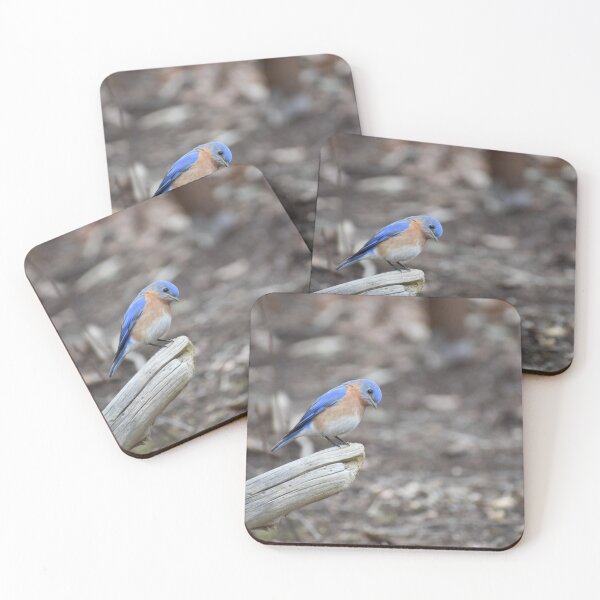Item preview, Did a seed drop? designed and sold by Tonia Delozier's Photography .
