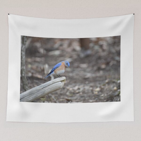 Item preview, Did a seed drop? designed and sold by Tonia Delozier's Photography .