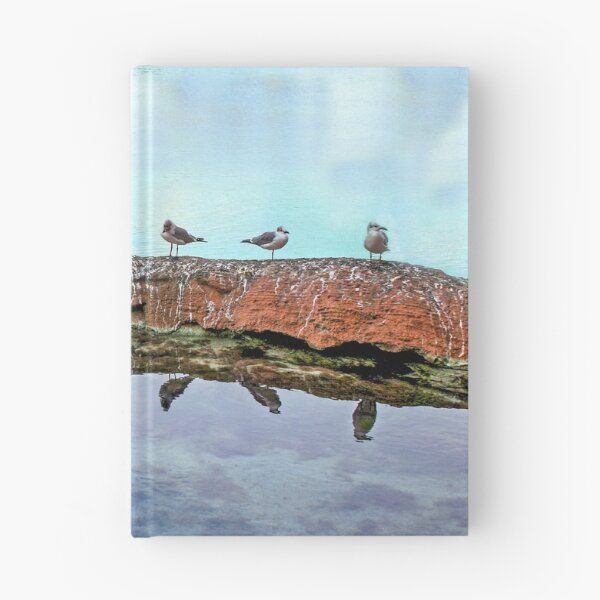 Item preview, Seagull Reflections designed and sold by QuackerSnaps.