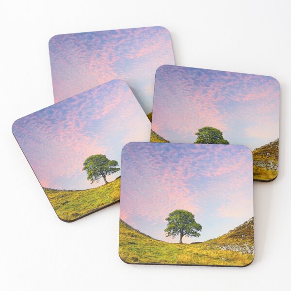 Item preview, Sycamore Gap designed and sold by Alisonchambers2.