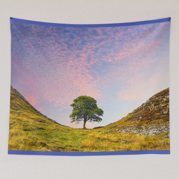 Item preview, Sycamore Gap designed and sold by Alisonchambers2.