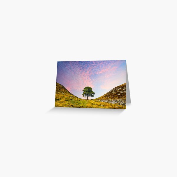 Item preview, Sycamore Gap designed and sold by Alisonchambers2.