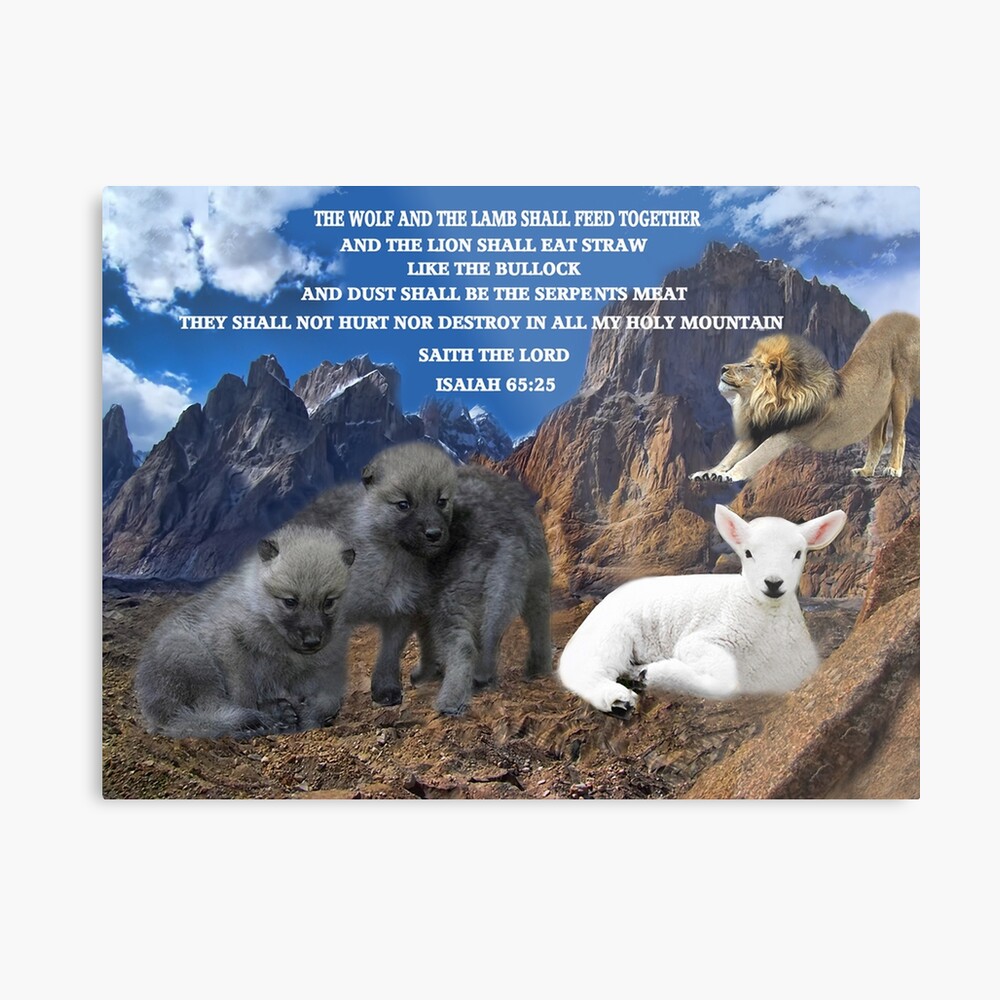 "THE WOLF AND THE LAMB SHALL FEED TOGETHER ..ISAIAH 6525..BIBLICAL