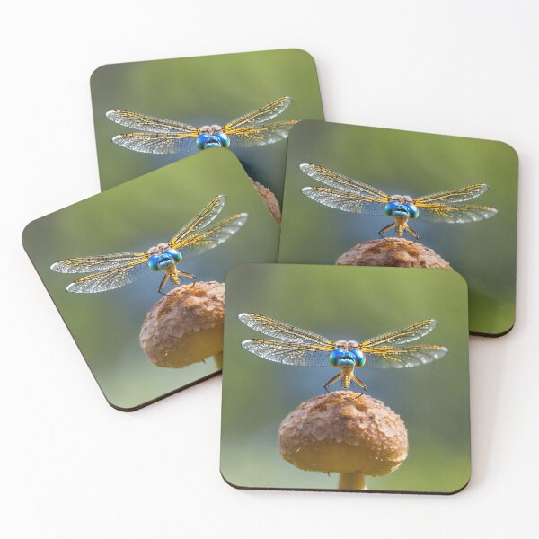 Artikelvorschau, Dragonfly on a Mushroom entworfen und verkauft von Glenburn Graphics.